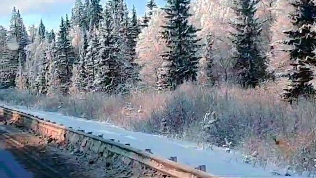 1000109701.mp4