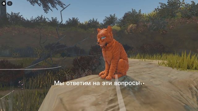 Трейлер про жизнь Огненной звезды?Кто де он(а)?
Калан в Likee-•::•🍃Wood🍃•::•