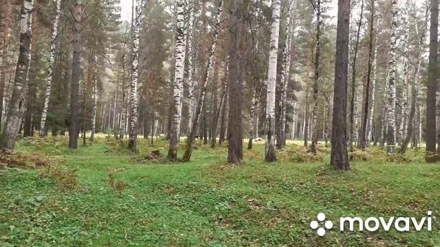 О преданности/Свобода✌ и ее цена,для нас.../ Если я молчу. Почему я это делаю?