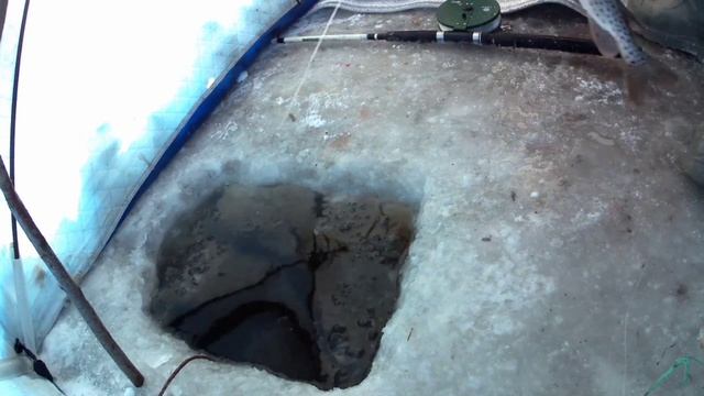 рыбалка на амуре 13.12.24