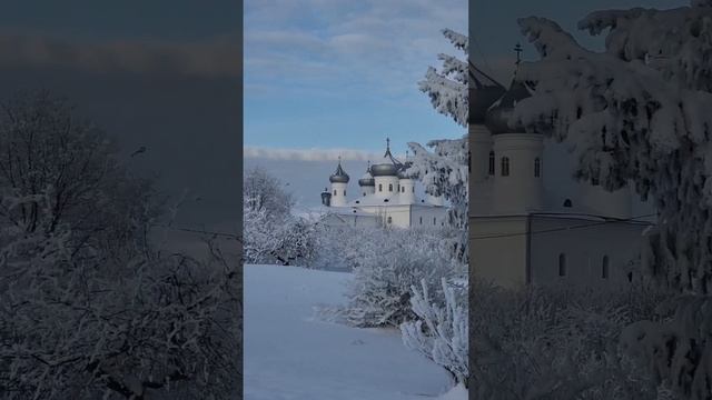 А вот и сад. Юрьев монастырь