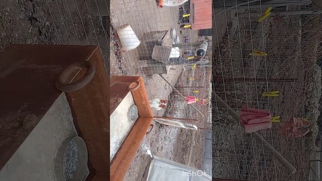 паппи 20.12.24