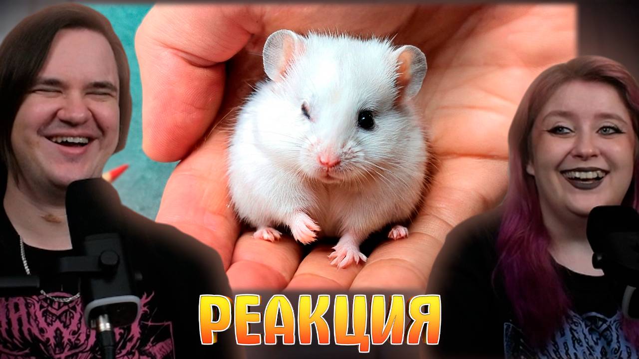 Реакция на У ДЕТЕНЫША СТЕПЫ ИСЧЕЗ ГЛАЗИК