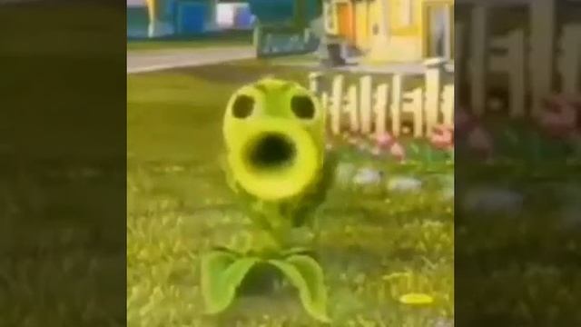 видео не моё