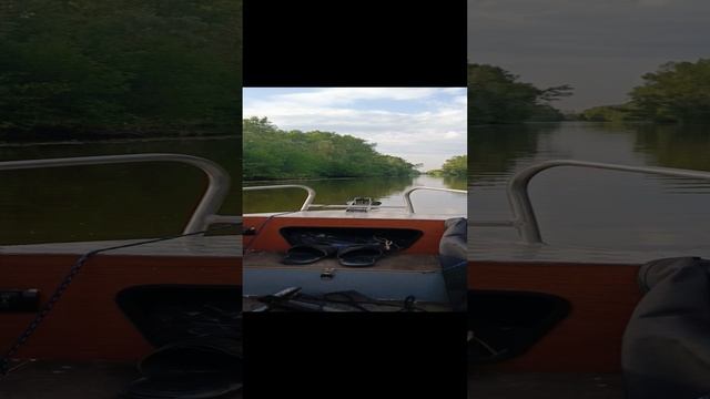 1000000872.mp4