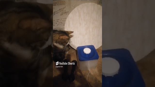 водишке.mp4