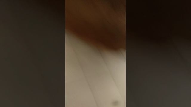 lv_0_20241208210641.mp4