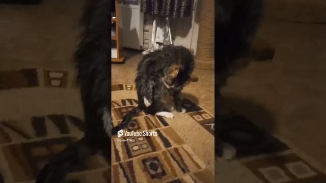 100000000000.mp4