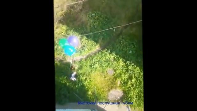 племяннику Кириллу любимому 11 лет