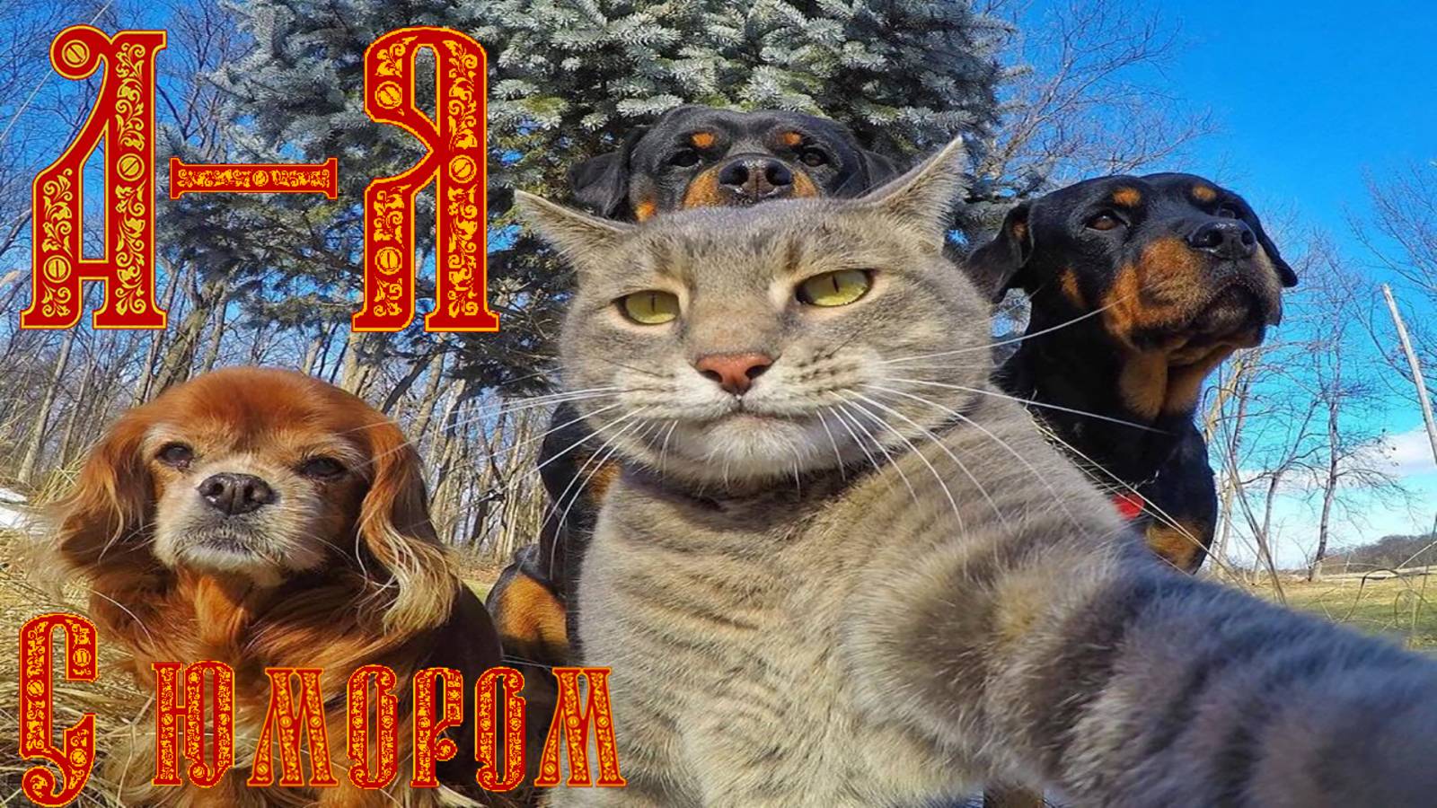 Смешное Новое Видео 4  Часть. Выпуск № 1