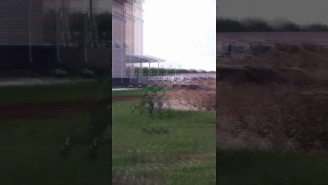И кто лучше?