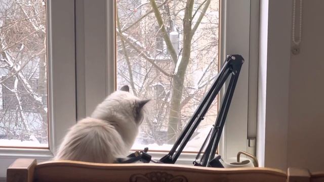 Адвент. Шестое задание.