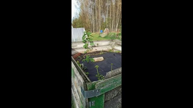 Я вернулся в Ребле