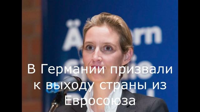 В Германии призвали к выходу страны из Евросоюза