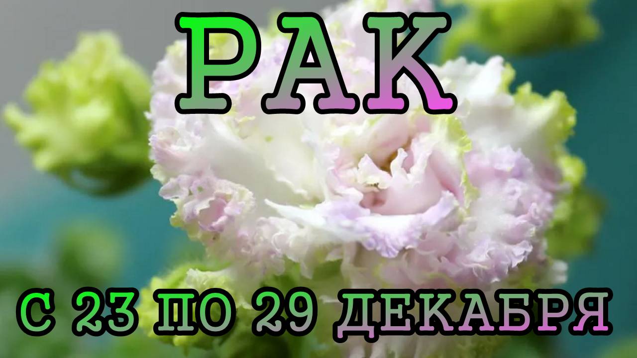 РАК таро прогноз на неделю с 23 по 29 ДЕКАБРЯ 2024 года.