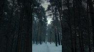 Гагаринский парк. Тюмень