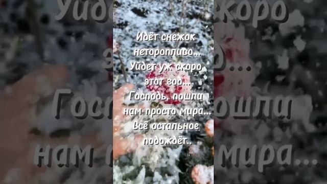 Идет снежок неторопливо❄️