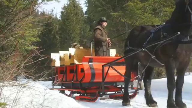 Я радуюсь, что ты живёшь на свете