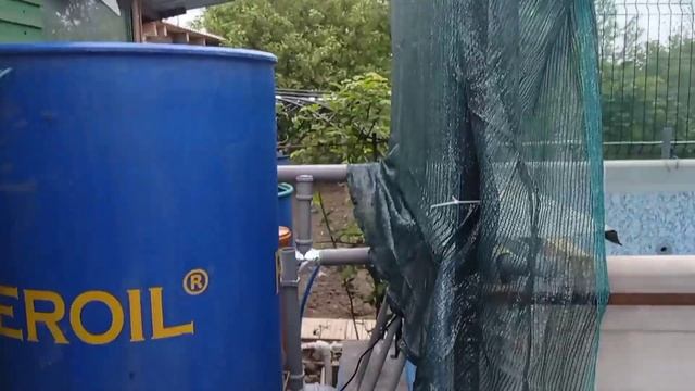Бассейн для содержания осетров готов.