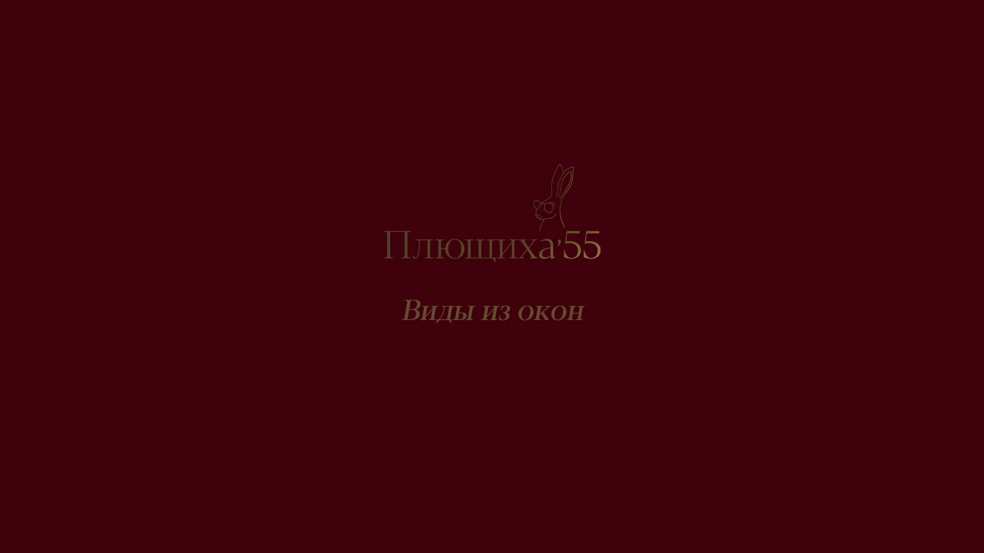 Клубный деловой центр "Плющиха'55". Виды из окон
