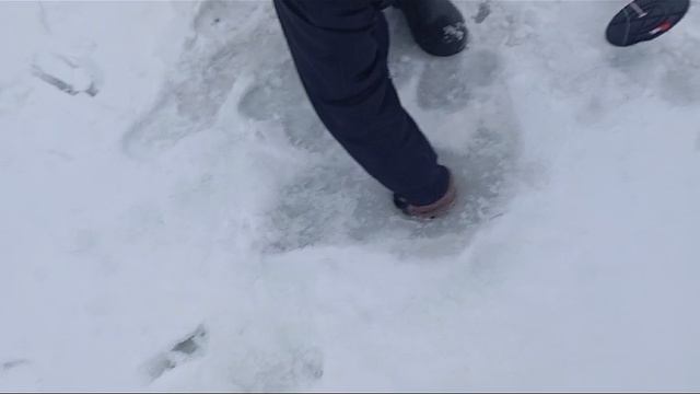 Светлые Горы Форель2 20 12.2024г.