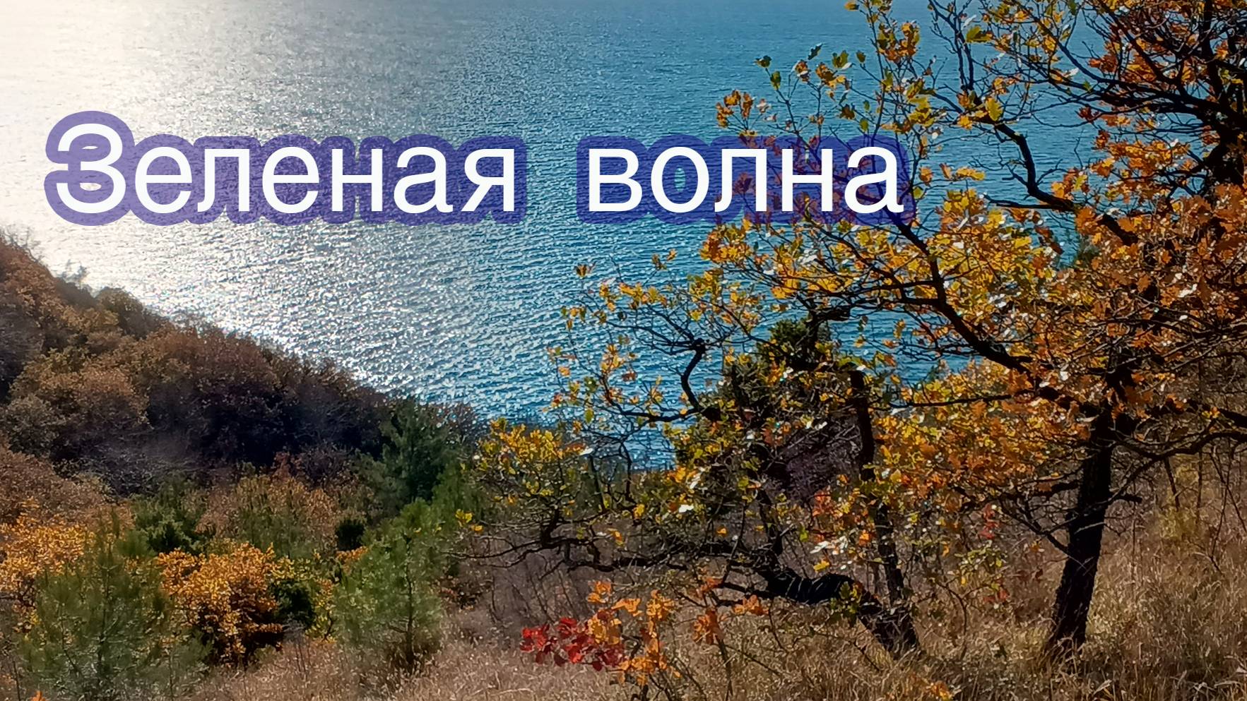 Зеленая волна