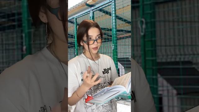 Мяу #пов #tiktok #жиза #рекомендации #жизненныеистории #shorts #рек #мем #юмор