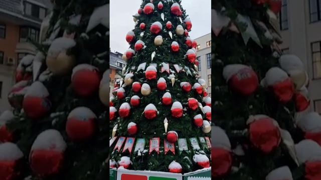 Самая культурная елка