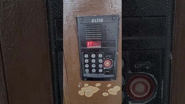 1000061855.mp4
