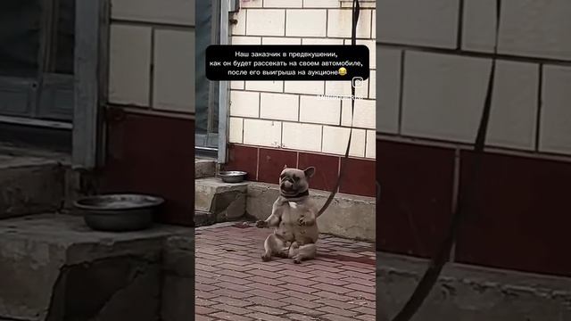 Бом