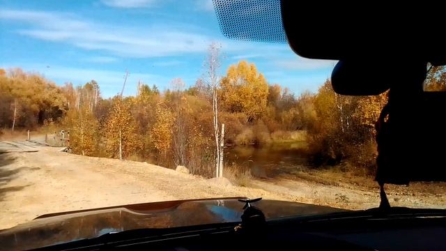 VID_20240921_131233.mp4