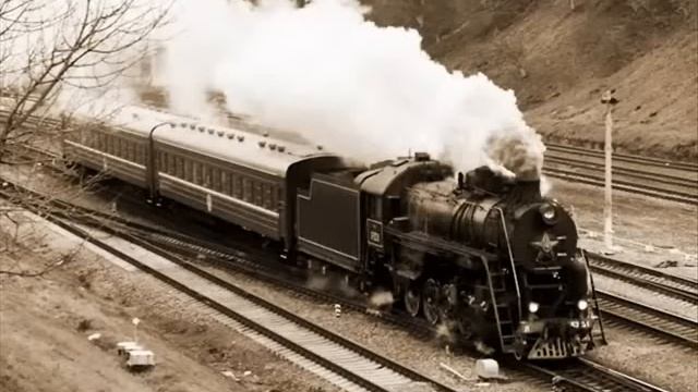 Сектор Газа - Life