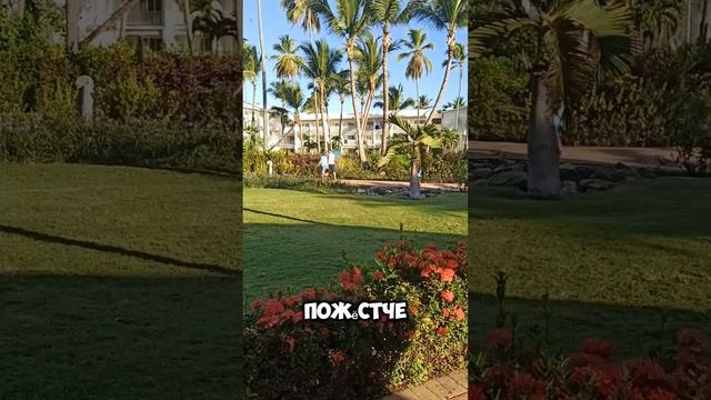 1000013128.mp4