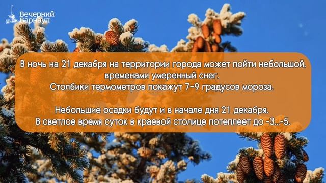 Небольшой снег прогнозируют на территории Барнаула в выходные дни