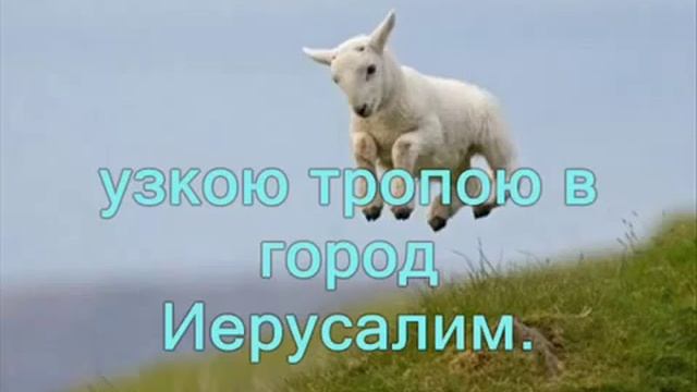 По горам высоким Пастырь мой идёт