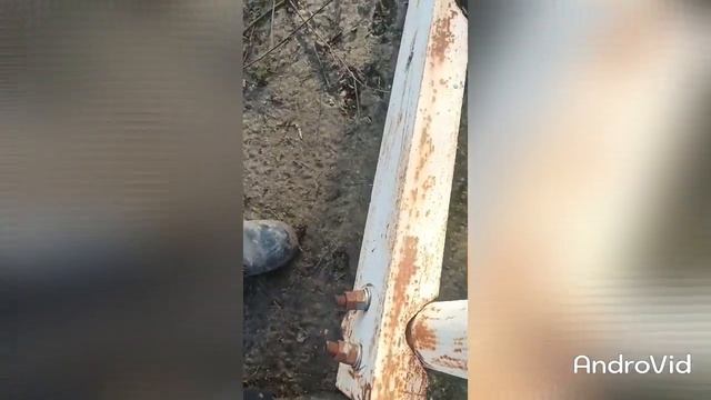 Удивительной конструкции трубостойка