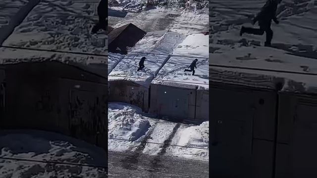 олды поймут