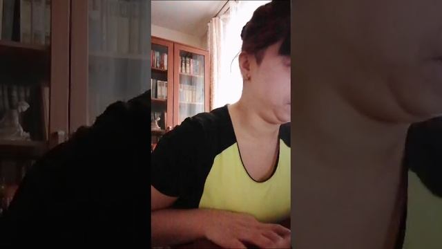 Видео WhatsApp 2024-12-20 в 10.44.54_a82be6f5