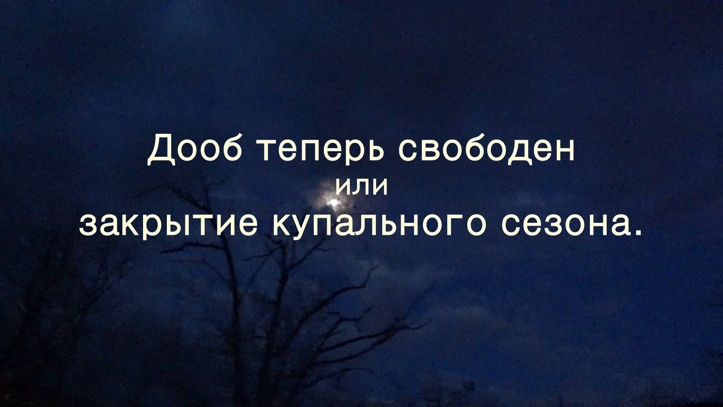 2019.12.15 Дооб теперь свободен