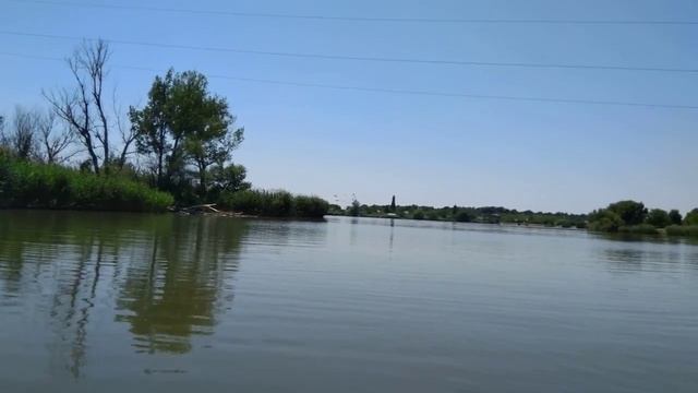 Плаваем по реке на лодке. Собака плывёт за нами.
