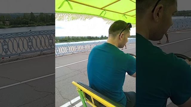 Большой пони