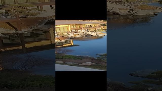Японский сад. Парк Краснодар.