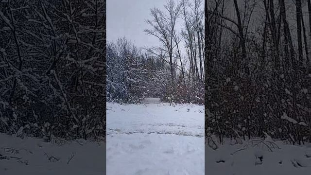 Всем Новогоднего настроения и исполнения желаний 🎄☺🥰🤗❤