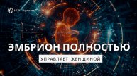 Эмбрион полностью управляет женщиной