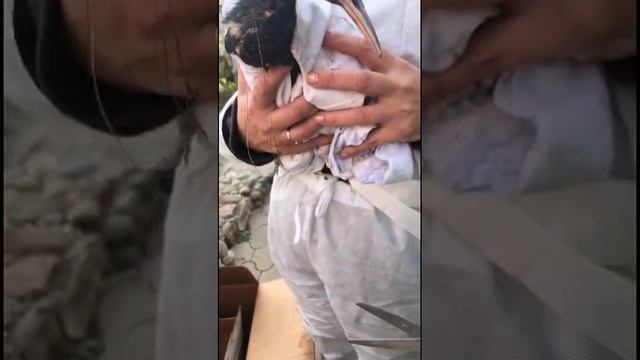 Спасибо всем, кто помогает морю.