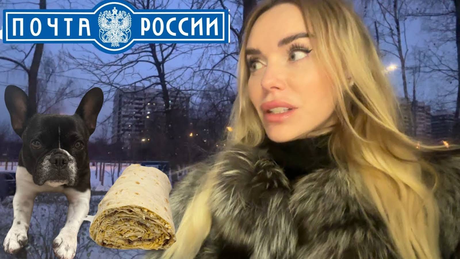 Почта России - кладбище времени. Хлоя и пылесос. Ночные бульдоги - моя бессониица