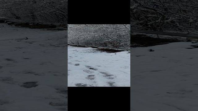20-12-2024