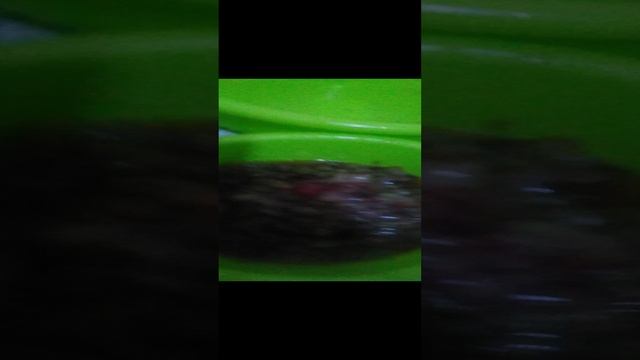 VID_20241219_203326.mp4