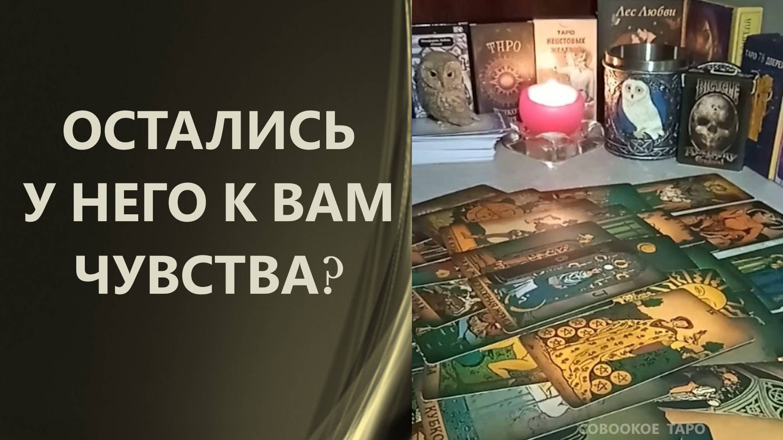 ОСТАЛИСЬ ЛИ У НЕГО К ВАМ ЧУВСТВА ⁉ таро ❤ расклад таро 🍁 таро онлайн 🌹 гадание таро ☀🦉