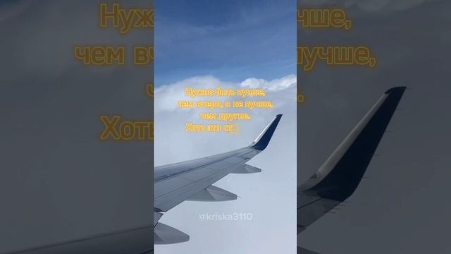 Цитата